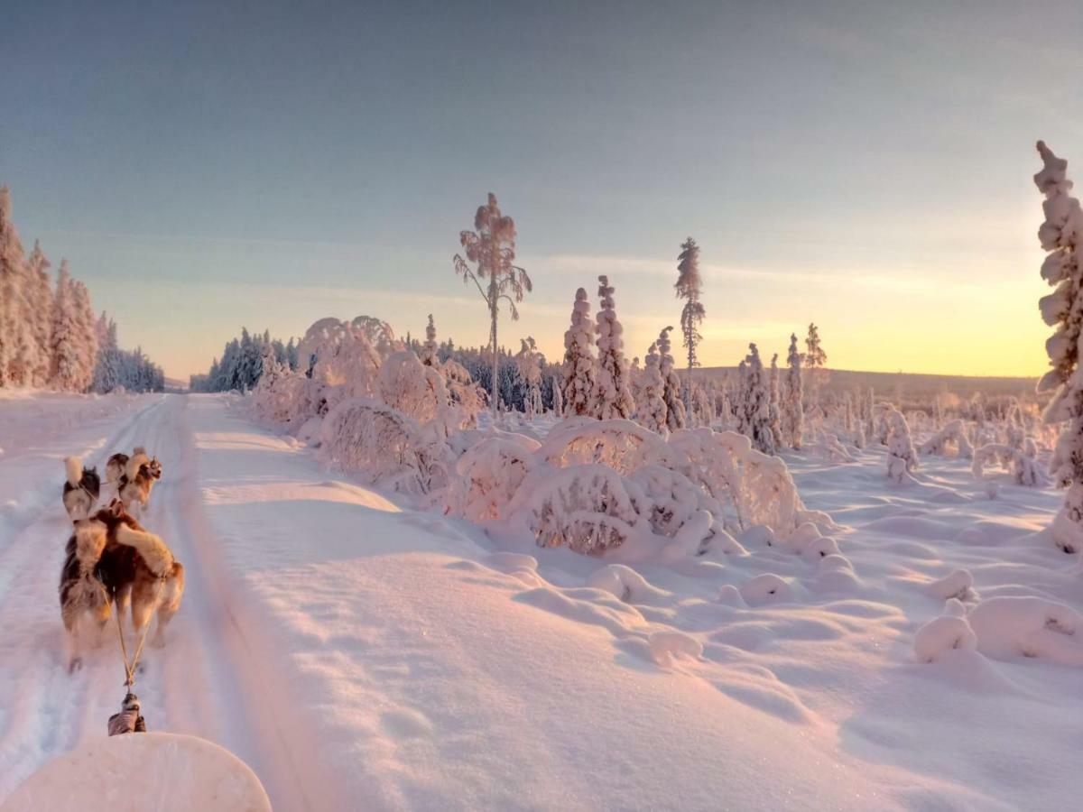 Authentic Cottage In Swedish Lapland Lycksele Exterior foto