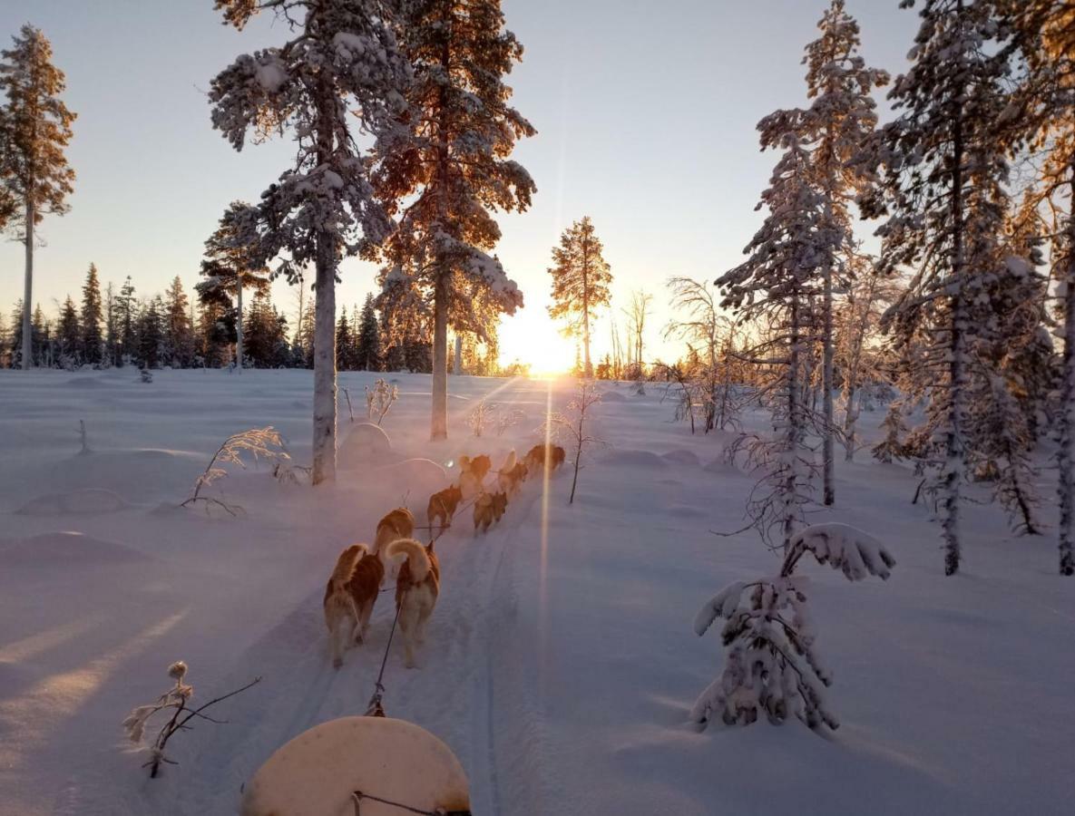 Authentic Cottage In Swedish Lapland Lycksele Exterior foto